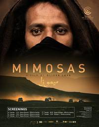 Постер Mimosas