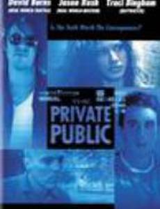 The Private Public