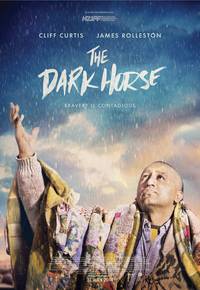 Постер The Dark Horse