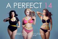 Постер A Perfect 14