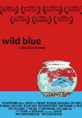 Wild Blue