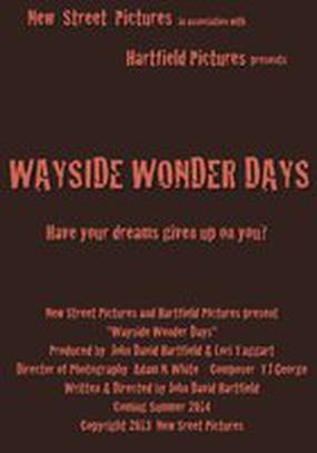 Wayside Wonder Days