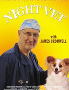 Night Vet