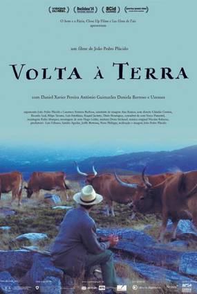 Volta à terra