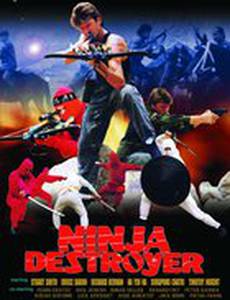 Ninja Destroyer