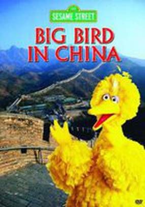 Big Bird in China