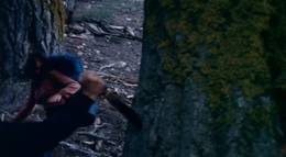 Кадр из фильма "Лес" - 1