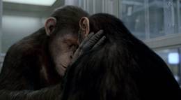 Кадр из фильма "Восстание планеты обезьян" - 2