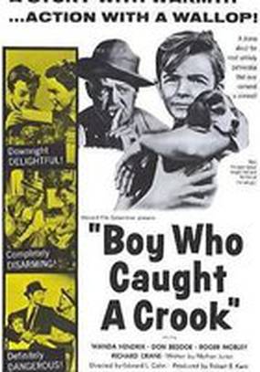 Boy Who Caught a Crook