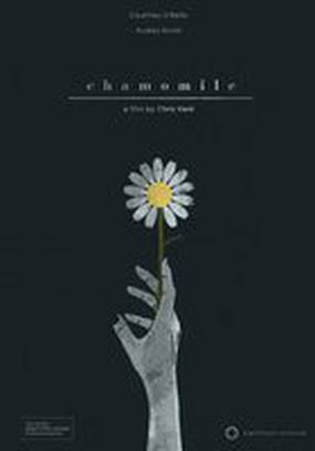 Chamomile