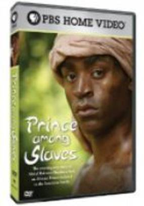 Prince Among Slaves