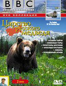 BBC: Царство русского медведя