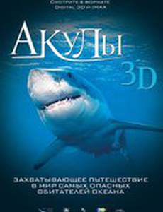 Акулы 3D