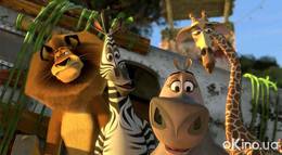 Кадр из фильма "Мадагаскар 2" - 2