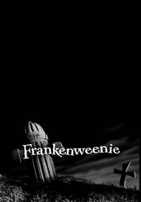 Постер Франкенвини