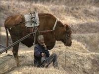 Кадр Старый партнер