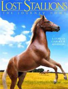 Lost Stallions: The Journey Home