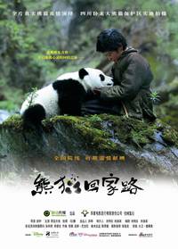 Постер След панды