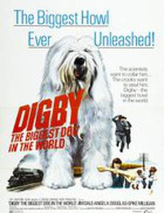 Дигби, самый большой пес в мире
