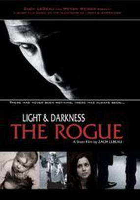 Light and Darkness: The Rogue