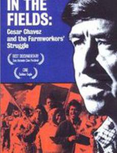 The Fight in the Fields