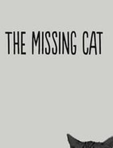 The Missing Cat