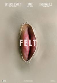 Постер Felt