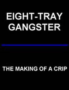 Eight-Tray Gangster: The Making of a Crip