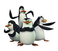 Кадр Пингвины из Мадагаскара