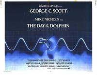 Постер День дельфина