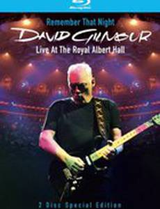 David Gilmour Remember That Night