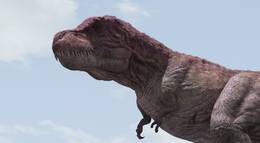 Кадр из фильма "Тарбозавр 3D" - 1