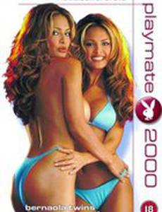 Playboy Video Centerfold: Playmate 2000 Bernaola Twins (видео)