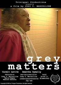 Постер Grey Matters