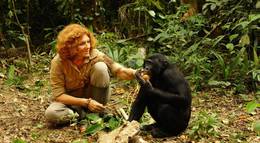 Кадр из фильма "Шимпанзе: Возвращение в дикую природу" - 1