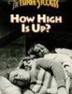 How High Is Up?