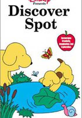 Discover Spot (видео)