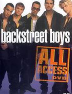 Backstreet Boys: All Access Video (видео)
