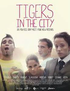 Тигры в городе
