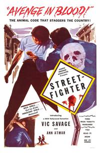 Постер Street-Fighter