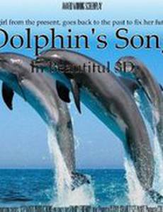 Dolphin's Song