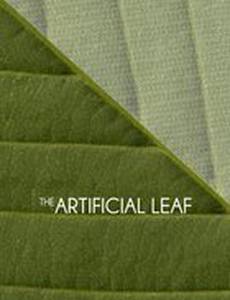 The Artificial Leaf