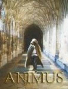 Animus (видео)