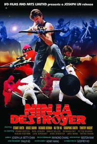 Постер Ninja Destroyer