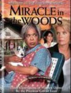 Miracle in the Woods