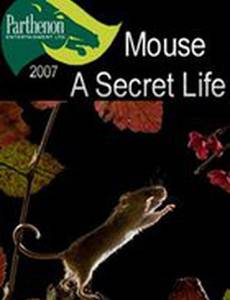 Тайная жизнь мышей