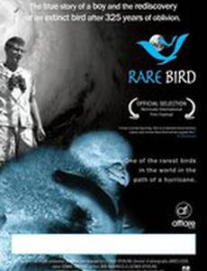 Rare Bird