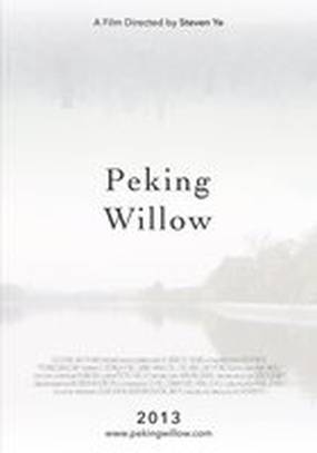 Peking Willow