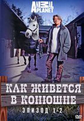 Как живется в конюшне (мини-сериал)