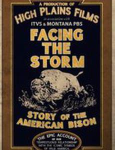 Facing the Storm: Story of the American Bison